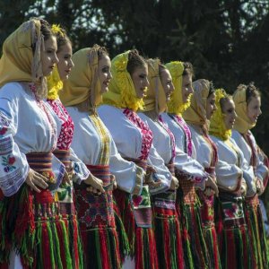 Višnjićevi dani 2013.